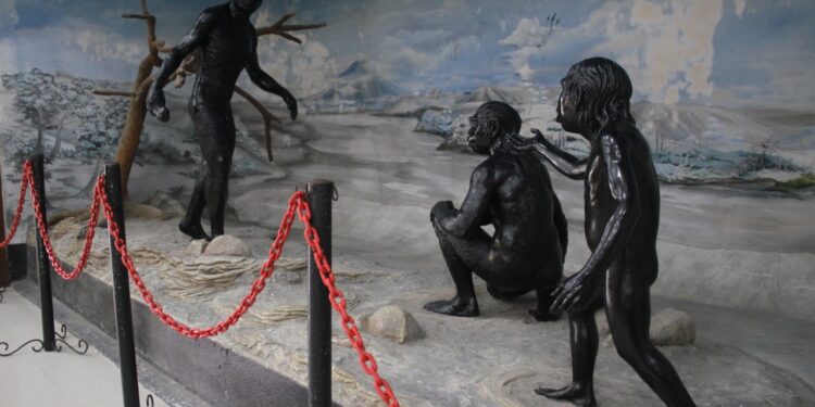 Diorama pithecanthropus erectus di Museum Trinil.