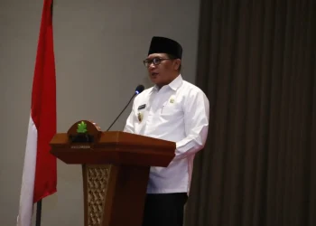 Wakil Wali Kota Malang,Kota Malang,Veteran - Wakil Wali Kota Malang Tekankan Pentingnya Sinergi Veteran dan Generasi Muda