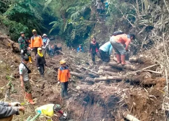 Petugas gabungan dari BPBD Kota Batu tengah melakukan pembersihan tanah tebing yang longsor di Curah Krecek, Desa Tulungrejo, Kecamatan Bumiaji, Kota Batu, Senin (7/11/2022) agar tidak menjadi bendung alam yang menyebabkan banjir bandang.