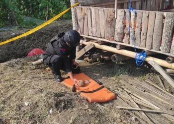 temukan granat