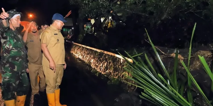 Banyak pohon tumbang, perlu diskusi dengan pemerhati lingkungan