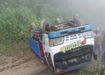 jalan rusak, truk pengangkut pisang terguling