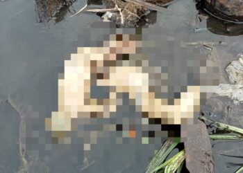 Penemuan mayat bayi di areal kebun tebu