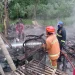 kandang ayam ludes terbakar