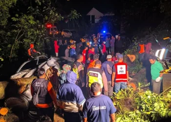 Pohon tumbang tewaskan warga di cangar
