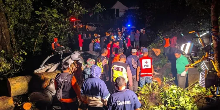 Pohon tumbang tewaskan warga di cangar