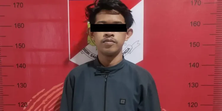 Pelaku pemukulan perempuan