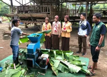 Pemuda Tani pelopor