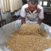 Tempe sanan rejo