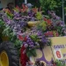 Batu Art Flower Carnival.