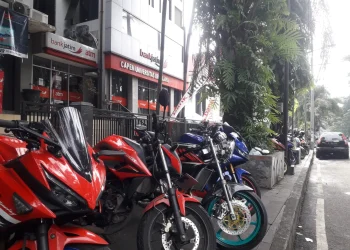 Parkir Liar