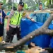 Seorang ayah meninggal dunia usai tertimpa dahan pohon yang jatuh saat berkendara di cuaca hujan deras dan angin kencang di kawasan Terminal Hamid Rusdi, Kedungkandang, Jumat (11/11/2022).