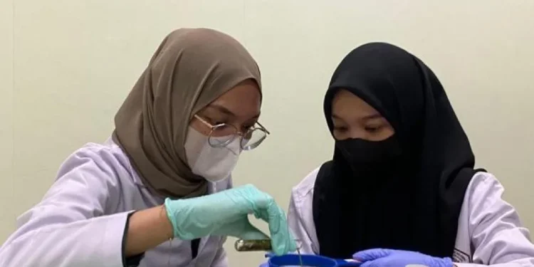 Dua mahasiswa FKIK UIN Malang tengah melakukan uji coba.