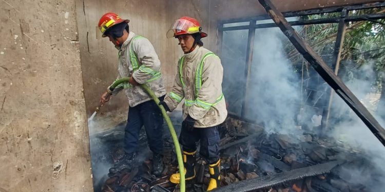 Petugas Damkar Kabupaten Malang melakukan penanggulangan kebakaran di Singosari.
