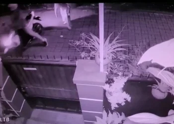 Adegan pembegalan seorang mahasiswi di Jalan Bendungan Sigura-gura IV, Kelurahan Sumbersari, Kecamatan Lowokwaru, Kota Malang, tertangkap kamera CCTV.