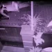 Adegan pembegalan seorang mahasiswi di Jalan Bendungan Sigura-gura IV, Kelurahan Sumbersari, Kecamatan Lowokwaru, Kota Malang, tertangkap kamera CCTV.