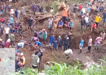 Pencarian warga tertimpa tanah longsor di Poncokusumo