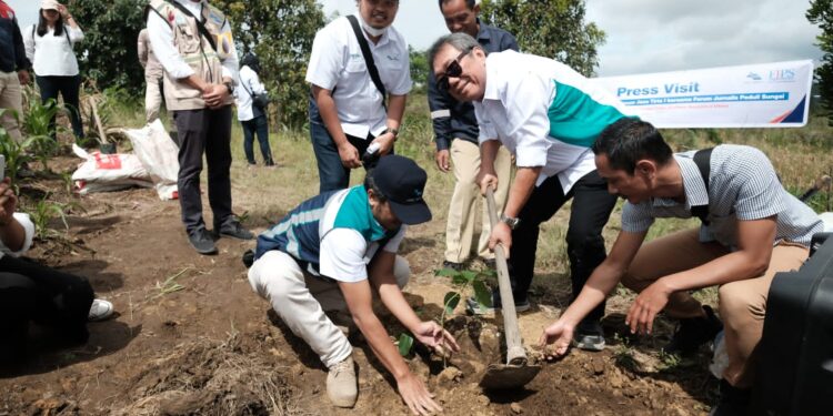 Direktur Operasional PJT I Milfan Rantawi (tengah) kembali melakukan penanaman pohon di areal kebun masyarakat di Desa Sibisa, kawasan DTA Danau Toba, Sumatera Utara.