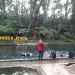 Wisata Sumber Jenon di Desa Gunungronggo, Kecamatan Tajinan, Kabupaten Malang.