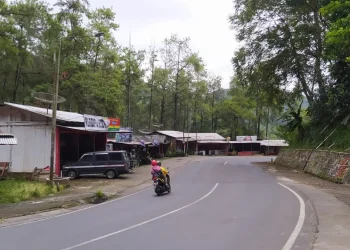 Kawasan wana wisata Payung Kota Batu menjadi jalur yang wajib diwaspadai pengendara karena banyak vegetasi pepohonan dan juga tebing curah yang cukup tinggi.