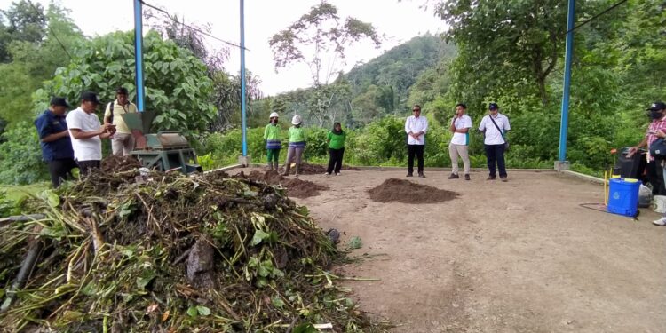 Penampakan pupuk kompos hasil olahan dari sampah eceng gondok di Rumah Komposter PJT I Desa Siruar Sumatera Utara. Foto/Azmy