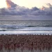 Kampanye kanker kulit "Strip Off for Skin Cancer" di pantai Bondi, Sydney, Australia oleh Spencer Tunick pada Sabtu (26/11/2022).