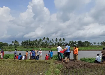 Petugas dan warga melakukan pencarian petani yang tenggelam di Sungai Brantas.