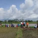 Petugas dan warga melakukan pencarian petani yang tenggelam di Sungai Brantas.