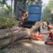 Potongan pohon menumpuk di DLH Kota Malang