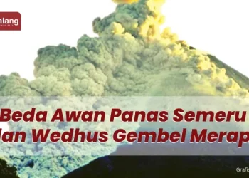 wedhus gembel dan awan panas