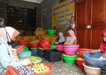 keripik buah
