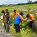 Tewas ditabrak KA Penataran