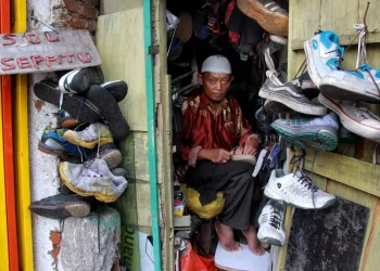bedak sepatu