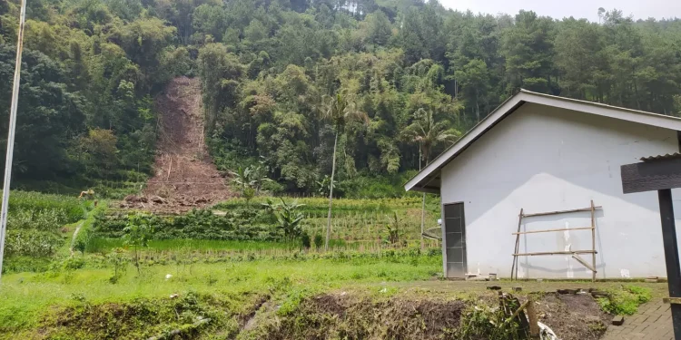 Tanah perbukitan di belakang SD dan SMP Satu Atap yang sempat mengalami longsor baru-baru ini.