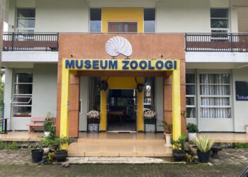 Museum Zoologi Frater Vianney Malang.