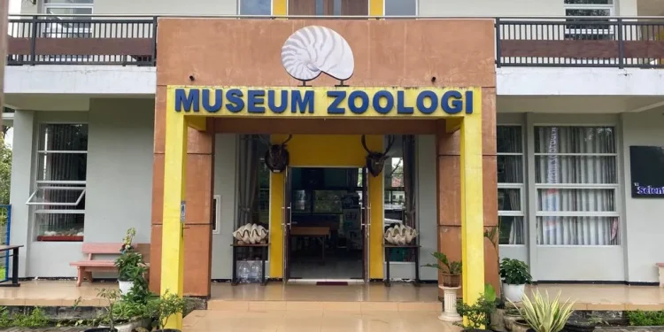 Museum Zoologi Frater Vianney Malang.