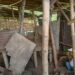 Muhammad Faruk, pemilik ternak di Kota Malang yang kehilangan kambing.