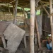 Muhammad Faruk, pemilik ternak di Kota Malang yang kehilangan kambing.