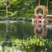Agrowisata Telaga Madiredo di Pujon