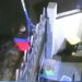 Curi Kotak Amal di Musala tertangkap Kamera CCTV