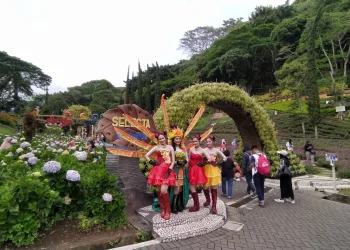 wisatawan kota batu