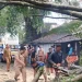 Petugas melakukan evakuasi pohon tumbang