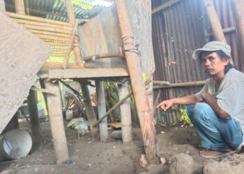 Muhammad Faruk, warga Kota Malang yang kehilangan 6 ekor kambingnya.