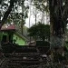 2 pohon besar yang berada di sebelum pintu masuk Kraton Gunung Kawi.