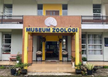Museum satwa
