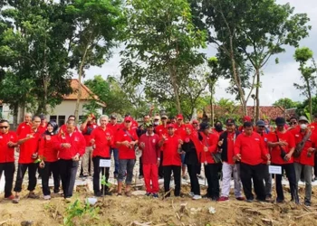 PDIP bersihkan sungai tanam pohon
