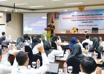 Pelatihan