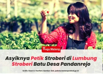stoberi
