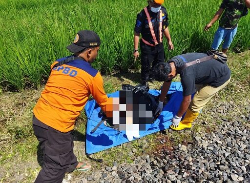 Petugas BPBD mengevakuasi korban yang tewas tertabrak kereta api.