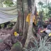 Petugas Satreskrim Polres Batu melakukan olah TKP di lokasi Arca Batara Wisnu yang hilang dicuri di komplek Candi Genter Desa Tulungrejo, Kecamatan Ngantang, Kabupaten Malang pada Selasa (21/2/2023).
